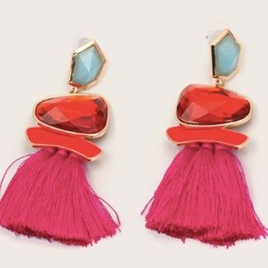 Color Block Tassel Earrings NEW